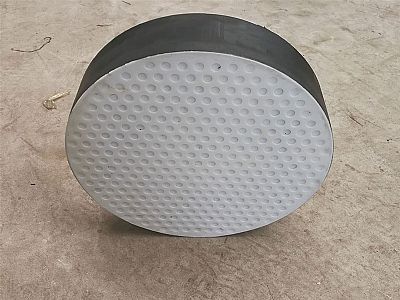 秀洲区四氟板式橡胶支座易于更换缓冲隔震